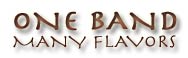 One Band: Many Flavors Button