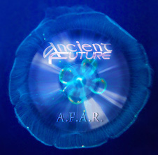 Fossilized A.F.A.R. CD