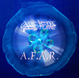 A.F.A.R. CD Mystery Cover