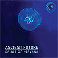 Spirit of Nirvana Cover Art